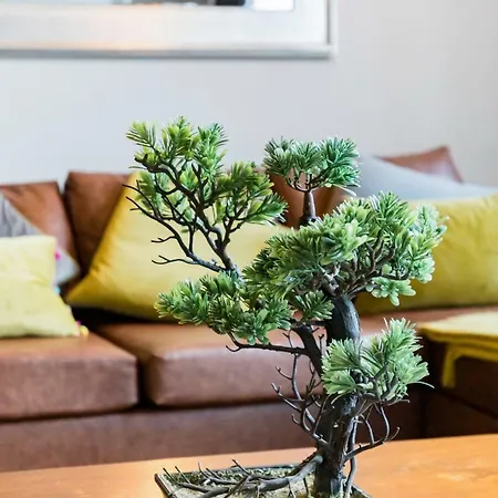 The Corson At Claremont * Leeds (West Yorkshire)